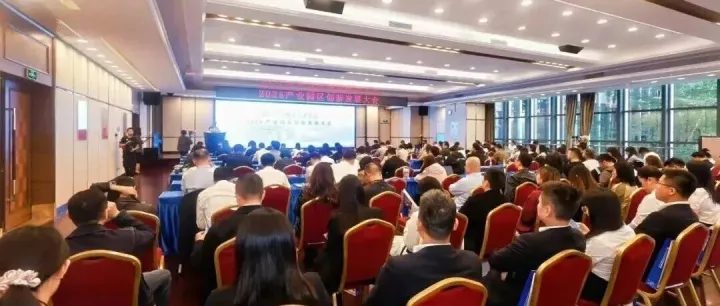 中电光谷荣获“2025全国产业园区轻资产服务商品牌影响力TOP30”第一名