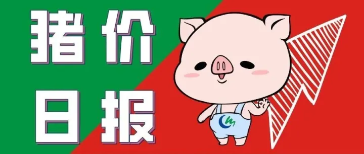 12月16日全国生猪价格
