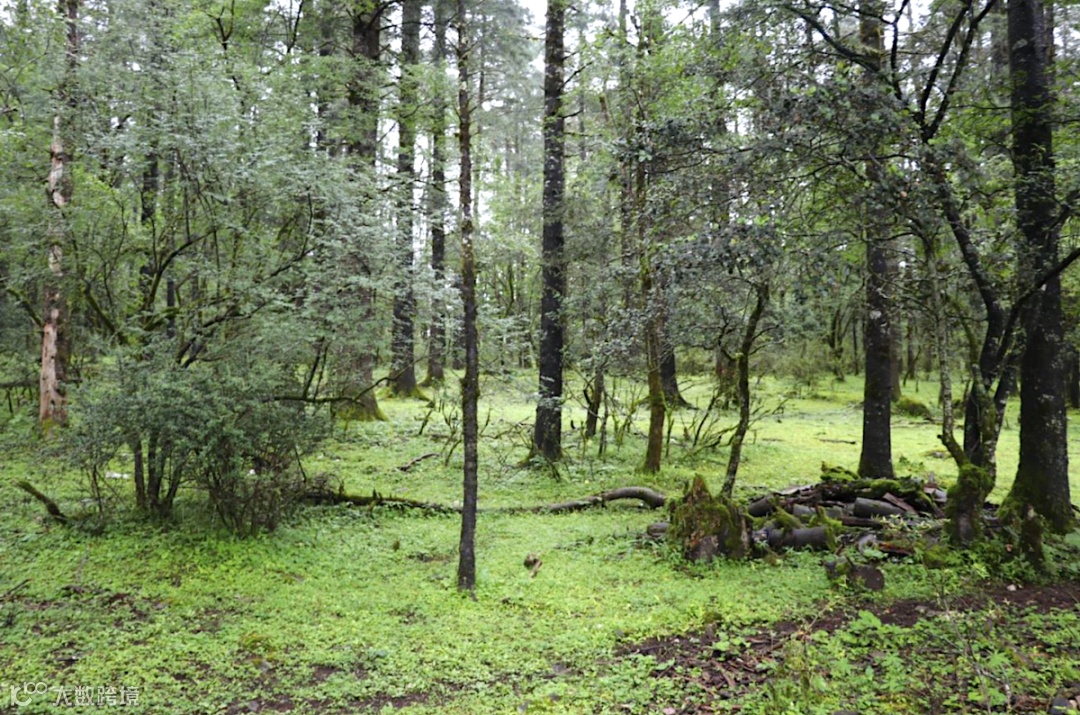 截屏2023-03-14 上午11.22.18.png