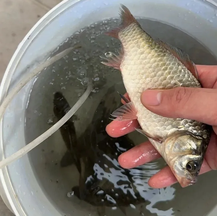 面试官：++<em>i</em>和<em>i</em>++功能差不多，那么你会优先考虑用哪个？