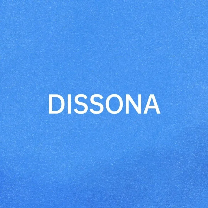 DISSONA｜信函系列～一只好包的答案