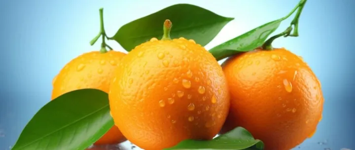 预防感冒得12种水果（建议收藏~）