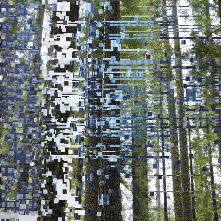 技术驱动、全球共创，一家年轻企业的全球化增长逻辑 | 新增长年度大课2025