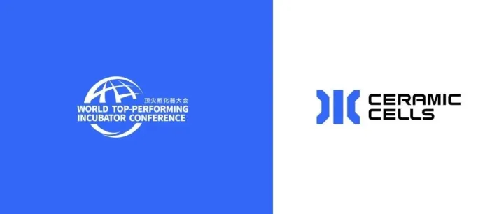 WTIC2025·孵化之星——电堆科技再获殊荣
