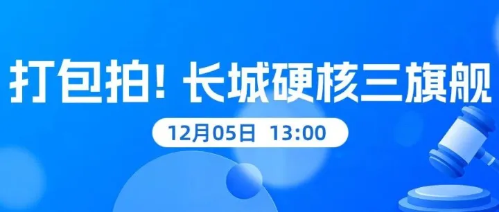 「易」车源｜「长城硬核三旗舰 ·一次到位，打包竞拍，无需纠结」