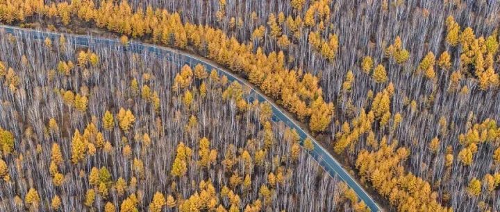 十一寻秋指南：解锁中国 960 万平方公里的秋日地貌密码