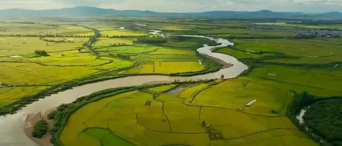 中国2米分辨率农田数据产品在国家地球系统科学数据中心-长江三角洲分中心发布