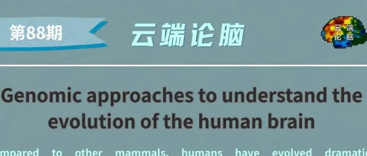 Genomic approaches to understand the evolution of human brain