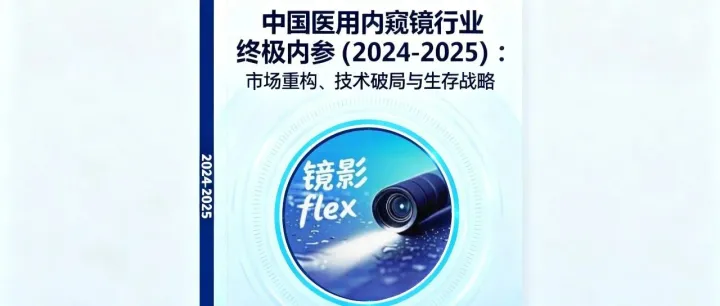 《中国医用内窥镜行业终极内参（2024-2025）：市场重构、技术破局与生存战略》