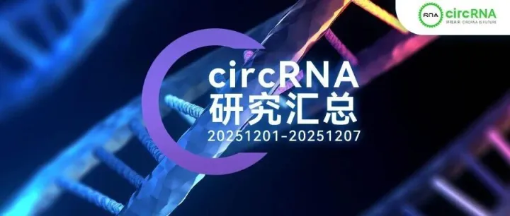 circRNA研究汇总丨20251201-20251207