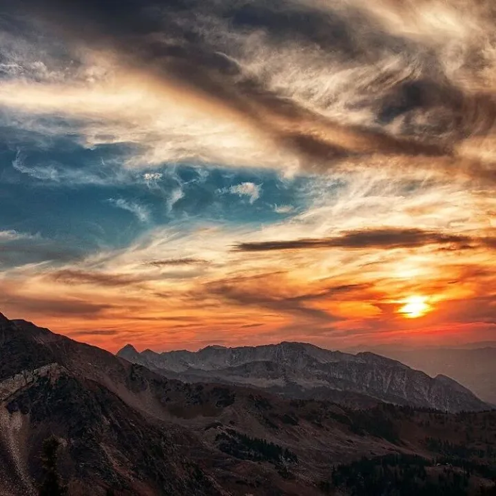 曼音乐丨用音乐解码人生旅程