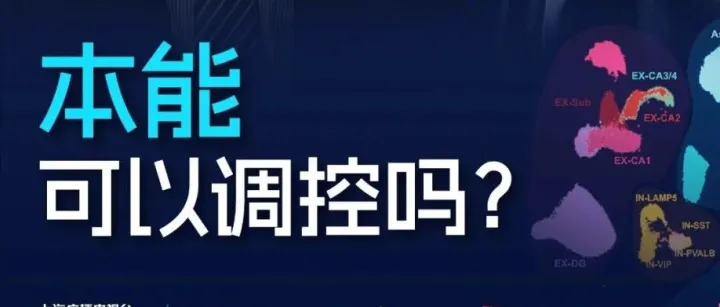 锚<em>点</em>︱今晚十<em>点</em><em>东方</em>卫视：本能可以调控吗？
