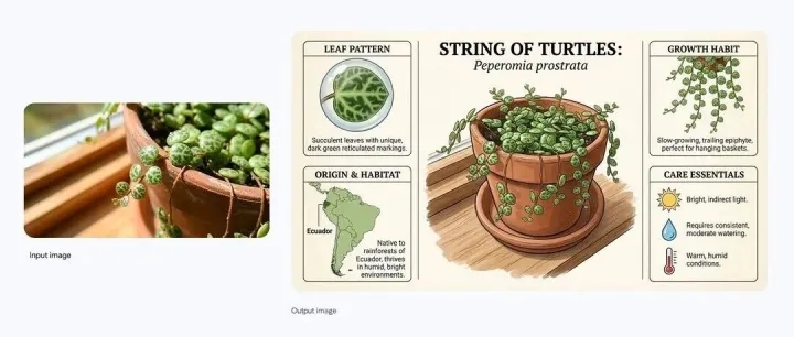 Nano Banana Pro 正式发布，<em>官方</em><em>信息</em>全整理