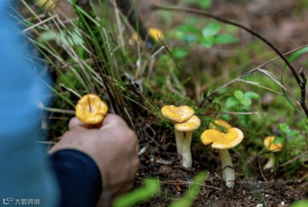 截屏2023-03-14 上午11.39.54.png