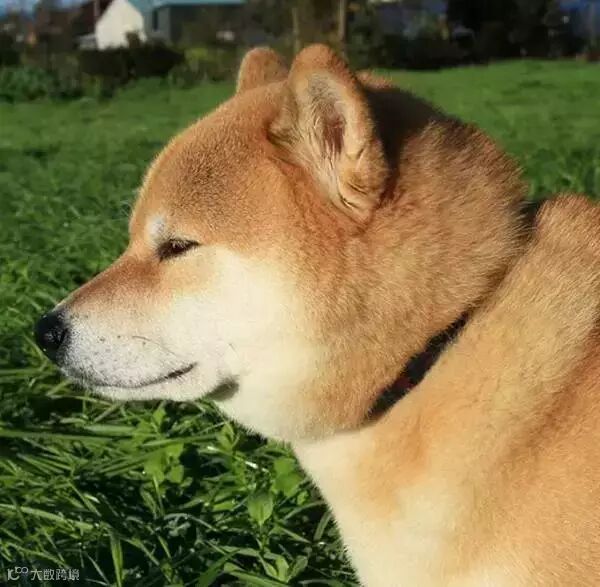 从图库选择图片