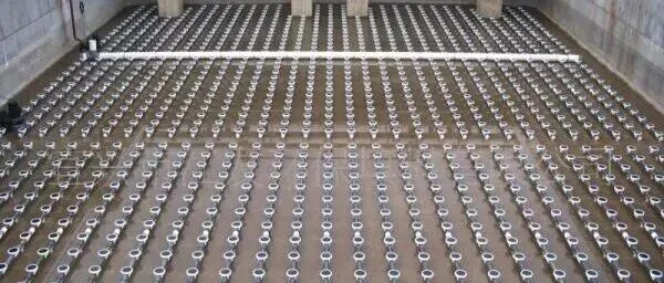 生化反应核心——曝气系统与活性污泥法