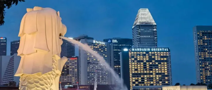 为什么新加坡公司注册必须要本地董事？这篇终于讲清了！