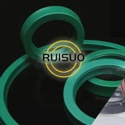 从测试到深耕：石家庄瑞硕橡塑借力DirectIndustry打通工业品出海之路