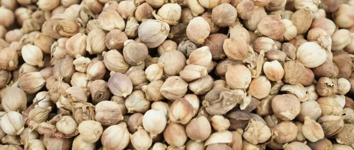 【年度报告】白豆蔻”年末变局”：从全年震荡到政策引爆行情，进口受阻后机遇何在？