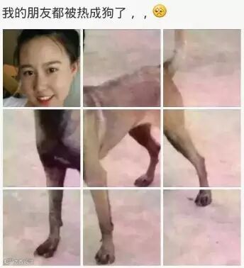 从图库选择图片