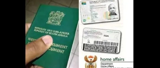 南非內(nèi)政部白皮書：擬議重大移民與公民身份制度改革