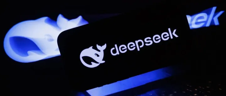 又一国家禁止在政府设备上使用DeepSeek！