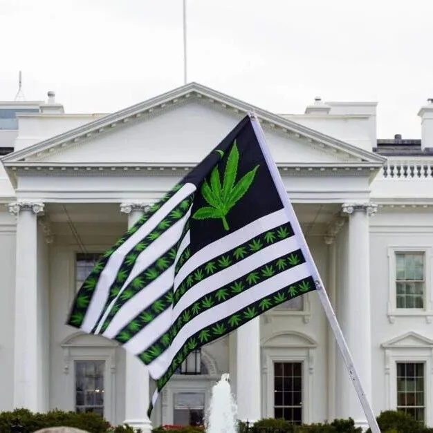 特朗普考虑下令放松联邦大麻限制
