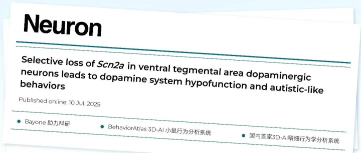 Neuron︱复旦大学舒友生团队基于 BehaviorAtlas 系统发现 SCN2A 缺失可诱发孤独症样行为
