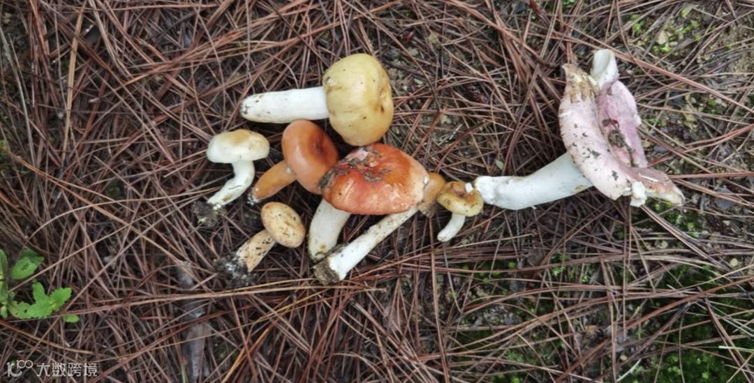 截屏2023-03-14 上午11.40.06.png