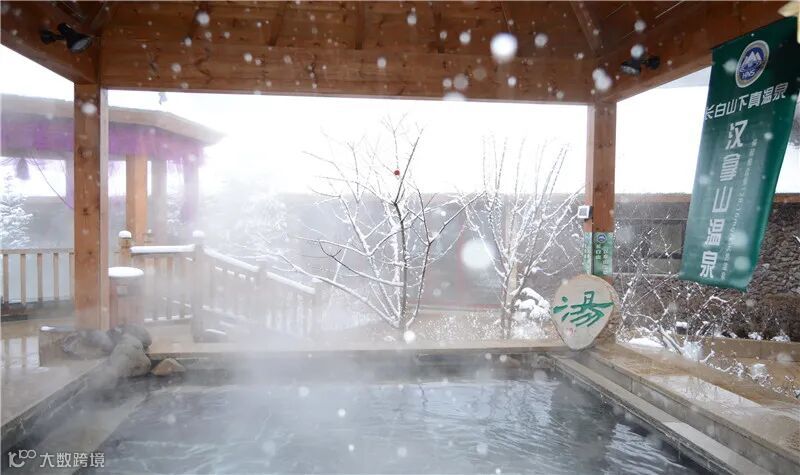 点击查看源网页