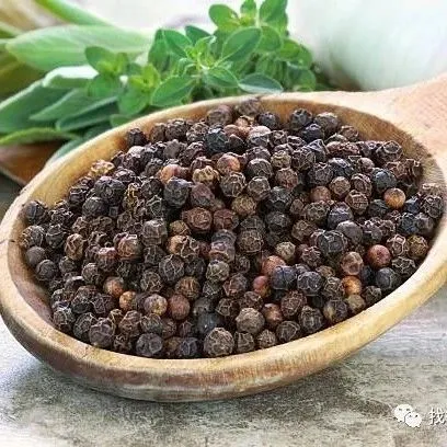 【越南胡椒】2025年12月12日价格稳定！越南胡椒迎“黄金年”，剑指16亿美元目标