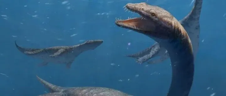 这只<em>幻</em><em>龙</em>的颈椎有42节