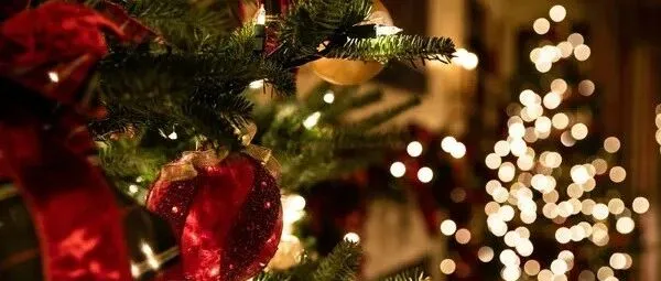 中国美国商会天津、西南及东北：年终相约，共迎新年