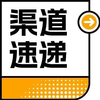 三雄极光辽宁市场，2025年保持稳增长！