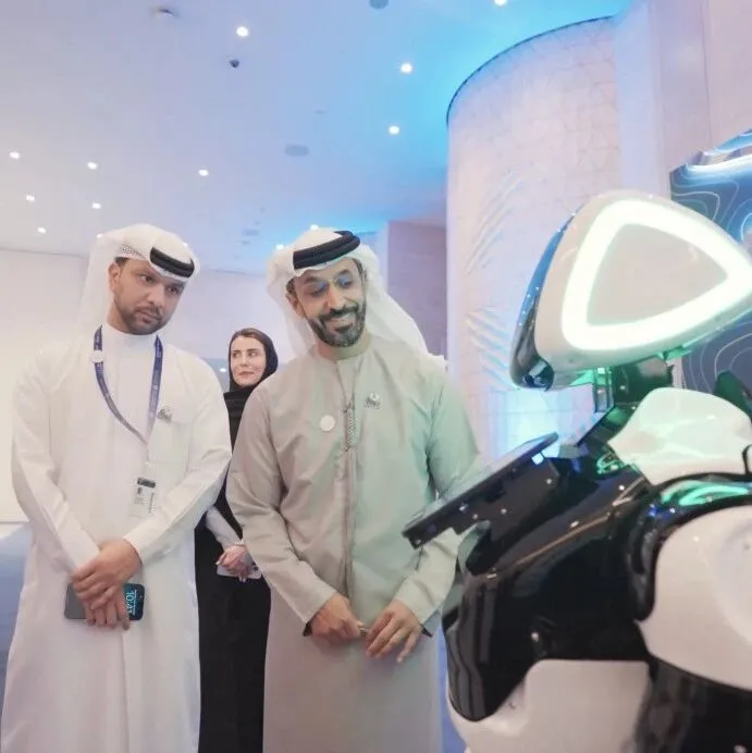 金伯利进程2025年全体会议在迪拜圆满举行