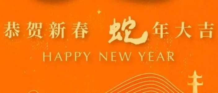 NF Trinity 祝您蛇年大吉 !