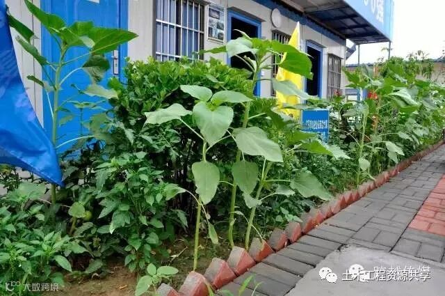 绿色施工就是洗洗车,弄点喷淋,防尘布?一看你就是大脑简单!_62