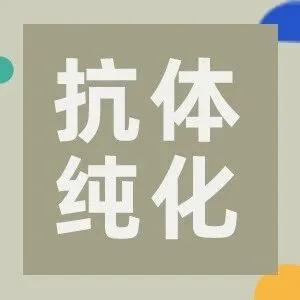 抗体纯化全解析