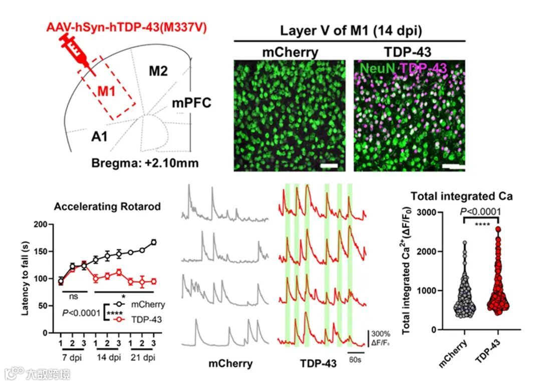 how we learn 第四章新生大脑金句-腾讯云开发者社区-腾讯云, image size:1080x766