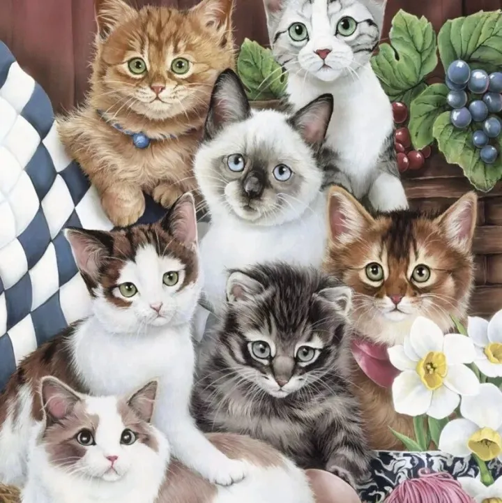 JiangIP 持续发力！Jenny Newland 新案立案，图片版权风险仍在高位运行