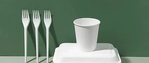 阿联酋第二阶段塑料禁令将从2026年1月1日生效