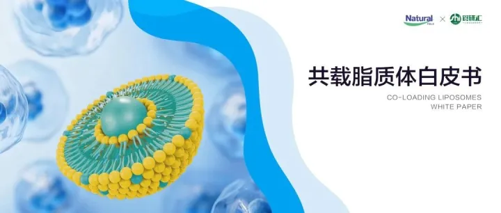 《共载脂质体白皮书》发布：功能营养递送体系的结构性进化与复方化趋势观察