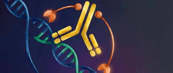 数谱生物R-loop Cut&<em>Tag</em>新品发布！