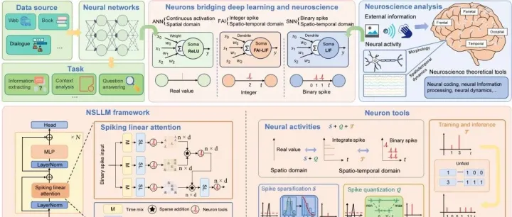 神经形态脉冲大模型（NSLLM）：下一代AI推理架构，提高能效和可解释性