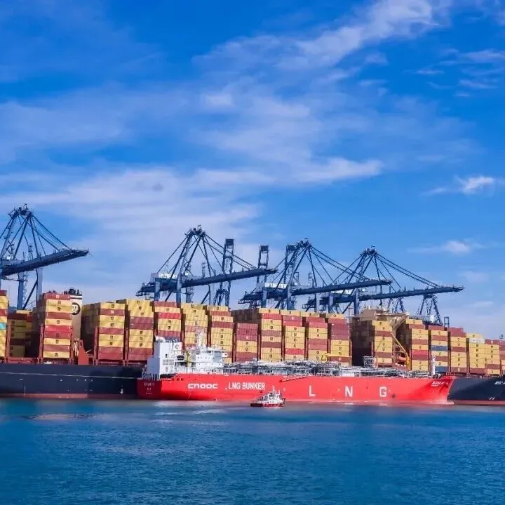 深琼两地海关紧密协作 让货物与能源“流动更自由”