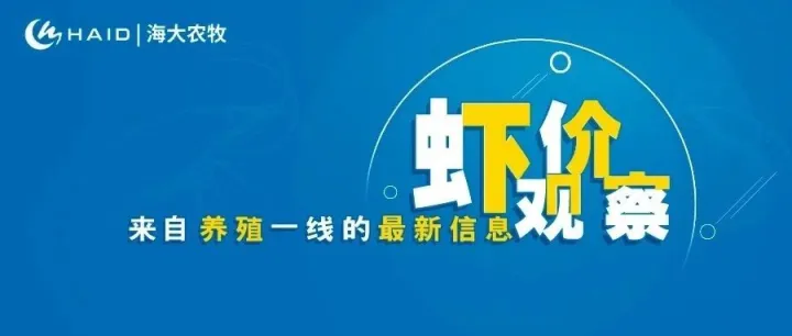 <em>虾</em>价观察 | <em>价格</em>还在涨，市场缺<em>虾</em>，南方<em>虾</em>车集中北上！12月15日塘头聚焦