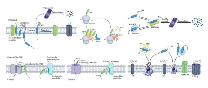 师妹师弟以为你会画的漂亮示意图