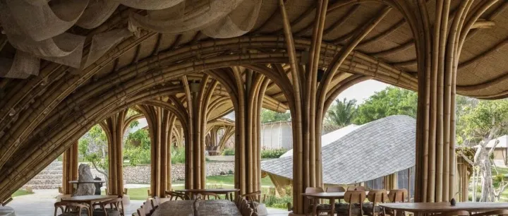 餐饮设计丨海洋灵感缪斯贝壳餐厅