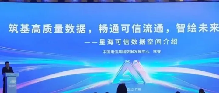 锚定国家数据基建，畅通可信流通 —— 中国电信集团数据发展中心主任林睿详解星海可信数据空间战略布局