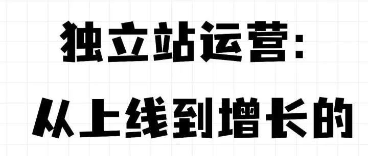 独立站运营：从上线到增长的完整作战地图